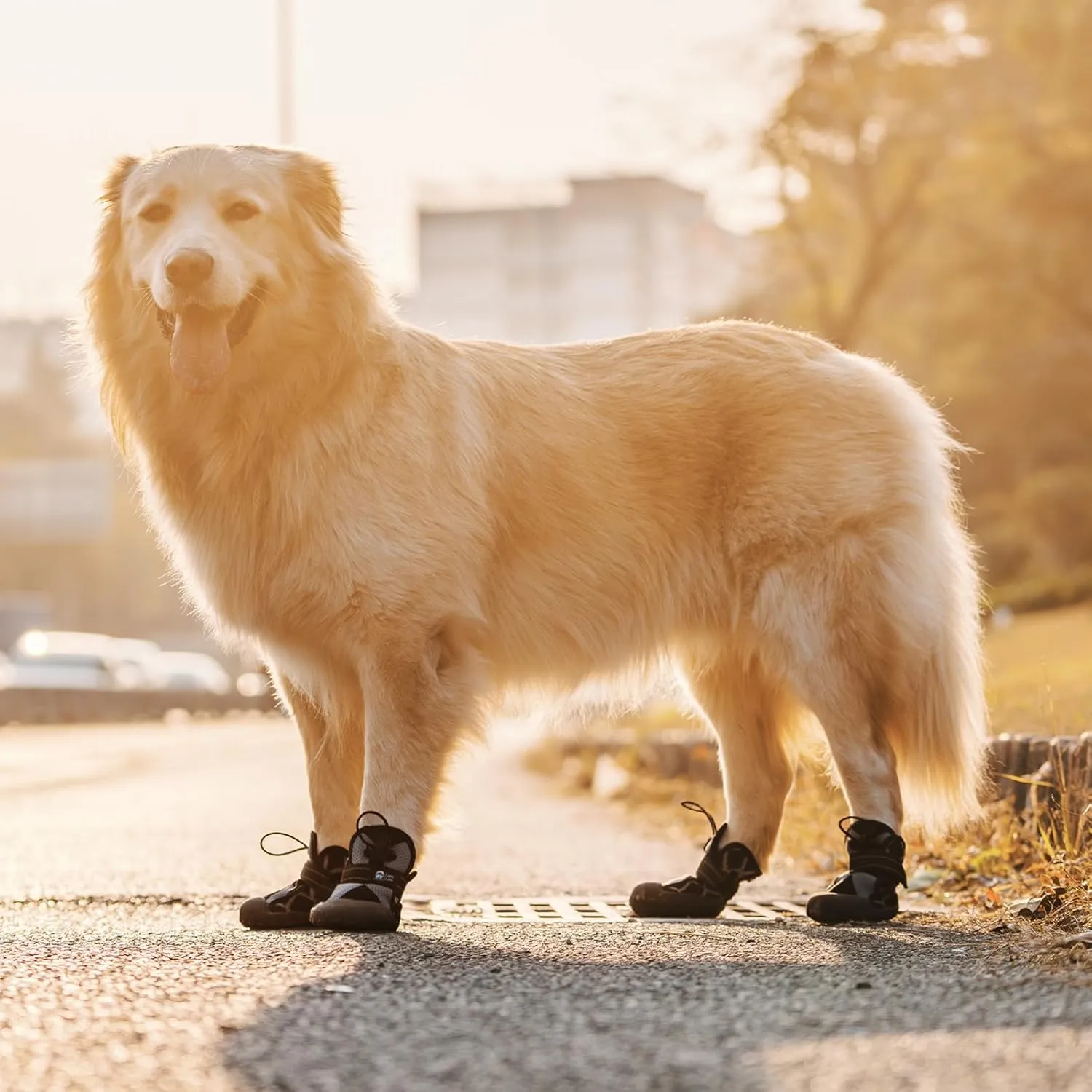 Dog Shoes for Large Small Medium Size Dogs, Waterproof Anti Slip Dog Boots&Paw Protectors for Outdoor Summer Hot Pavement Winter Snow, Breathable Dog Booties for Walking Hiking Hardwood Floor