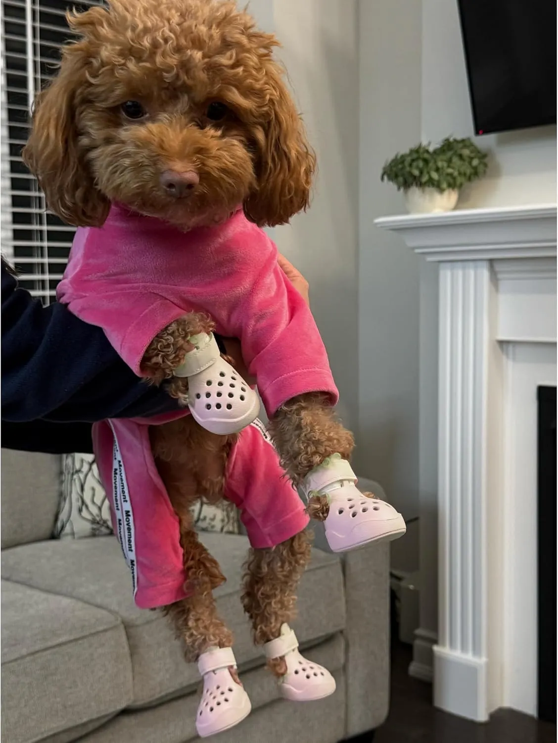 Dog Shoes: Non-Slip Waterproof Sandals for Hot Pavement & Winter, Breathable Perforated Boots, Large/Medium/Small Sizes, Ideal Paw Protector, Outdoor Clog Booties (Beige, Size 7: (2.87’’x2.4’’)(L*W))