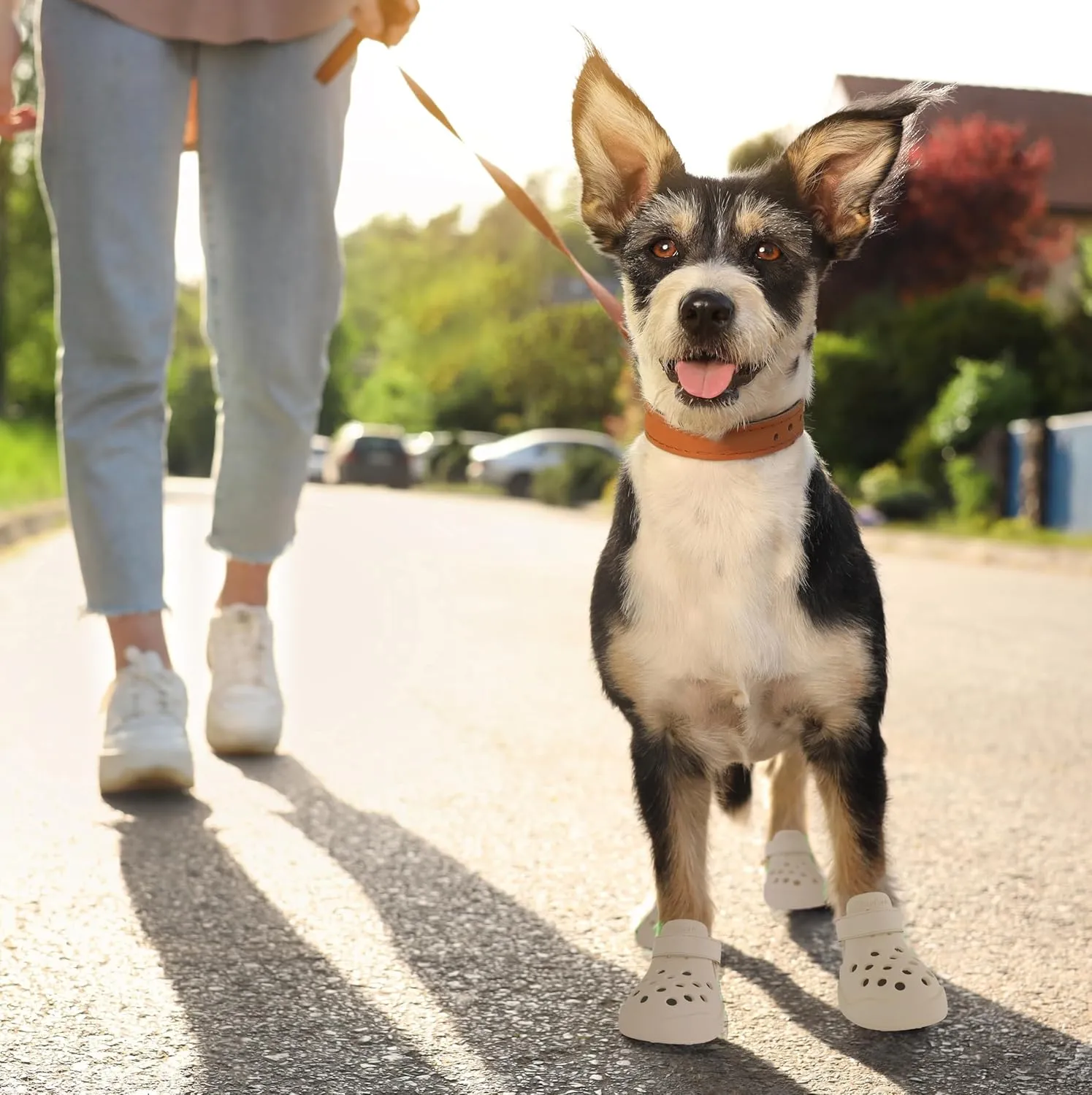 Dog Shoes: Non-Slip Waterproof Sandals for Hot Pavement & Winter, Breathable Perforated Boots, Large/Medium/Small Sizes, Ideal Paw Protector, Outdoor Clog Booties (Beige, Size 7: (2.87’’x2.4’’)(L*W))