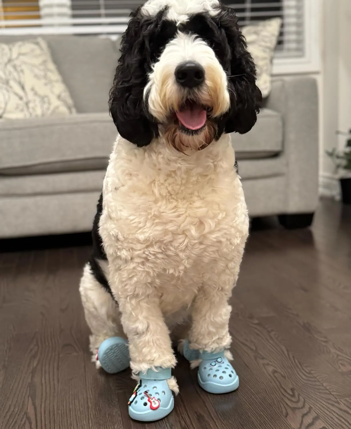 Dog Shoes: Non-Slip Waterproof Sandals for Hot Pavement & Winter, Breathable Perforated Boots, Large/Medium/Small Sizes, Ideal Paw Protector, Outdoor Clog Booties (Beige, Size 7: (2.87’’x2.4’’)(L*W))