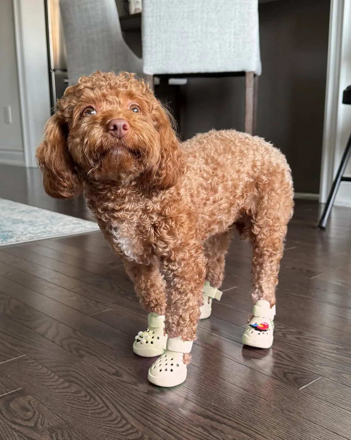 Dog Shoes: Non-Slip Waterproof Sandals for Hot Pavement & Winter, Breathable Perforated Boots, Large/Medium/Small Sizes, Ideal Paw Protector, Outdoor Clog Booties (Beige, Size 7: (2.87’’x2.4’’)(L*W))
