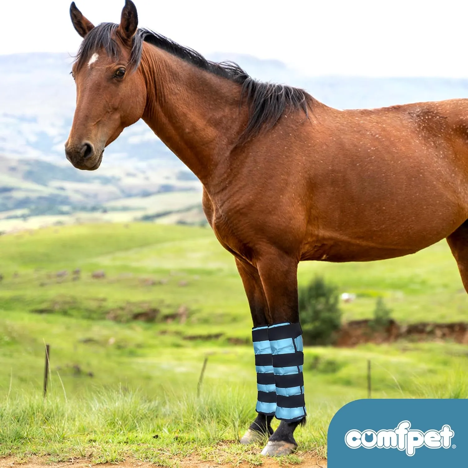 Gel Horse Ice Pack with Carry Case Reusable Cooling Horse Leg Wrap for Injury Therapy Full Leg Ice Boot Cold Pack for Hock, Ankle, Knee, Legs, Boots, and Hooves, 1 Pack