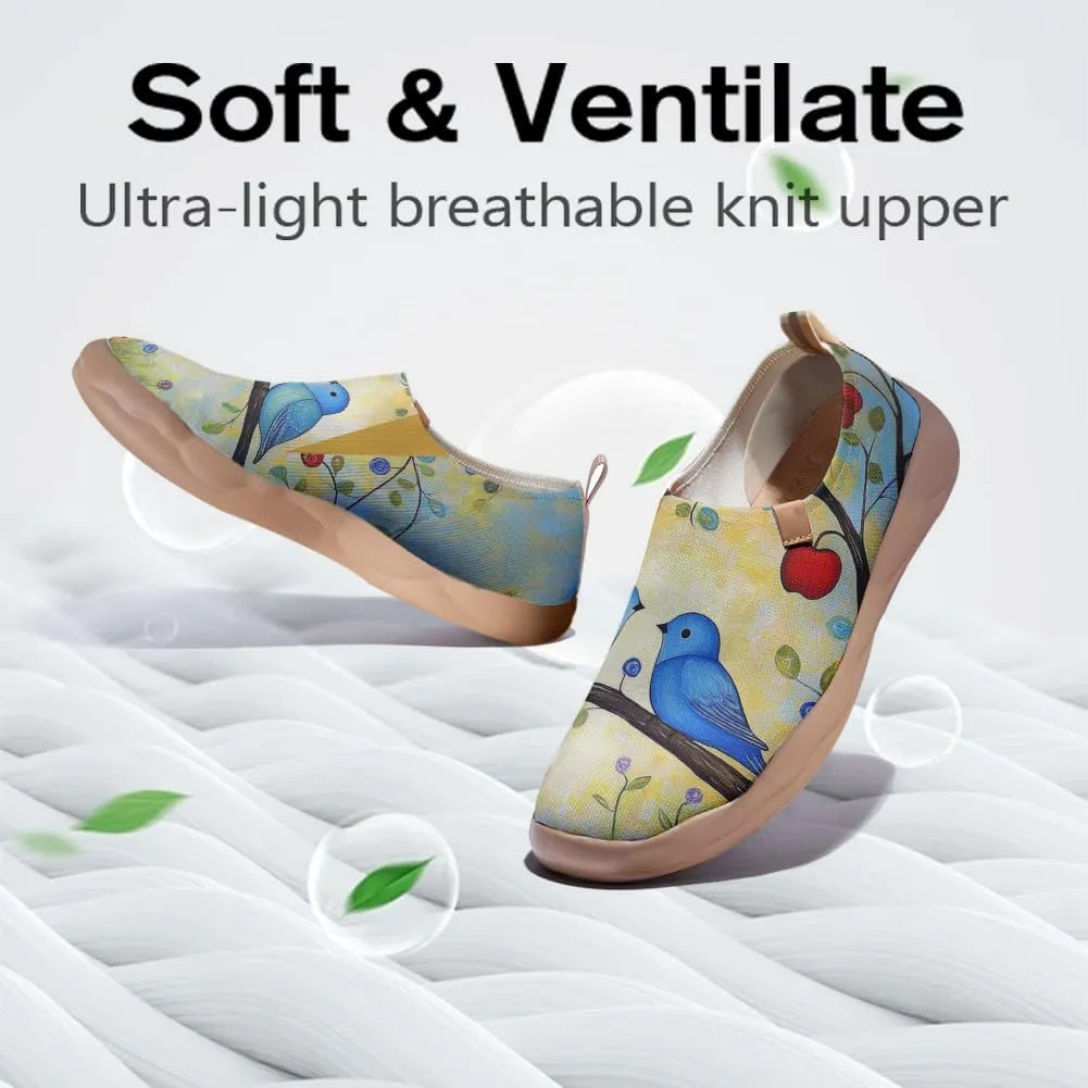 Hetios Women's Casual Slip On Loafers Walking Comfortable Knit Mesh Ladies Painted Travel Shoes