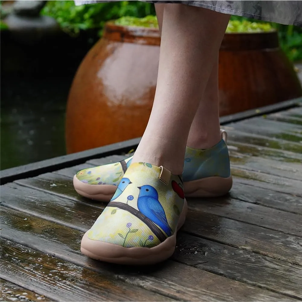 Hetios Women's Casual Slip On Loafers Walking Comfortable Knit Mesh Ladies Painted Travel Shoes
