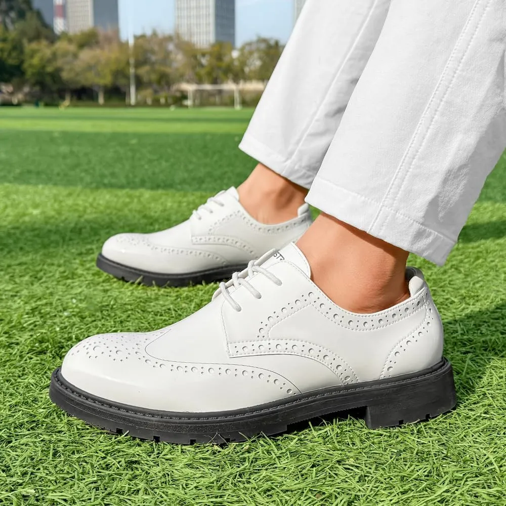Men's Golf Shoes Professional Man Spikeless Golf Sports Sneakers Male Golf Walking Training Shoes