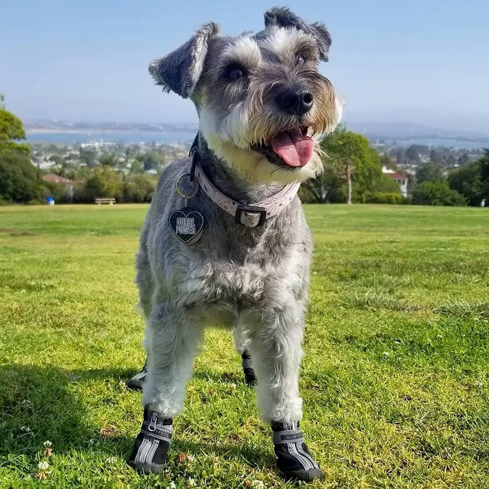 QUMY Dog Shoes for Small Dogs, Puppy Dog Boots & Paw Protectors for Winter Snow Day, Summer Hot Pavement, Waterproof in Rain Weather, Ourdoor Hiking, Indoor Hardfloor Skid-Resistant Sole Blue Size 3