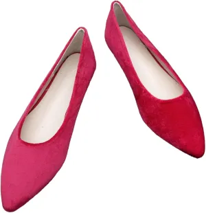 WENJIAZHIZHI Women's Pointed Toe Ballet Flats Elegant Slip-Ons Female Flat Shoes Comfortable Work Shoes Female Loafers