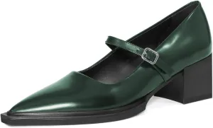 YDN Womens Mary Jane Chunky Block Low Heel Pumps Chic Closed Pointed Toe Buckled Strap Comfortable Dress Shoes Daily Size 4-16 US