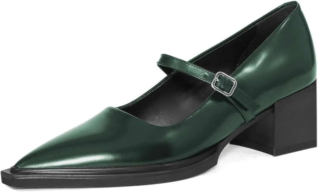 YDN Womens Mary Jane Chunky Block Low Heel Pumps Chic Closed Pointed Toe Buckled Strap Comfortable Dress Shoes Daily Size 4-16 US