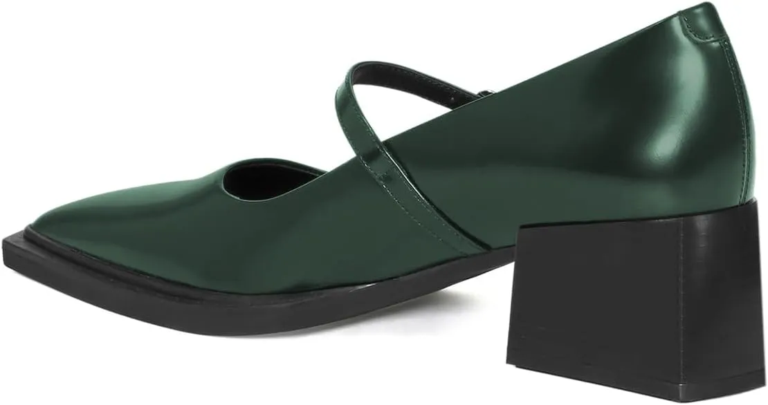 YDN Womens Mary Jane Chunky Block Low Heel Pumps Chic Closed Pointed Toe Buckled Strap Comfortable Dress Shoes Daily Size 4-16 US